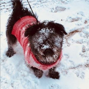 Meet your Posher, Jj